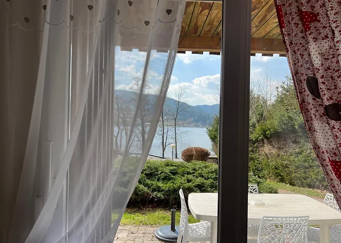 Les Prairies du lac Gérardmer acceptant les animaux
