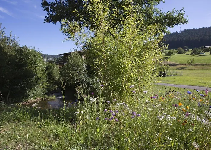 Landhaus Mühlengrund Baiersbronn