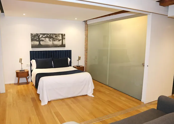 Boutique Baps Apartments Bilbao