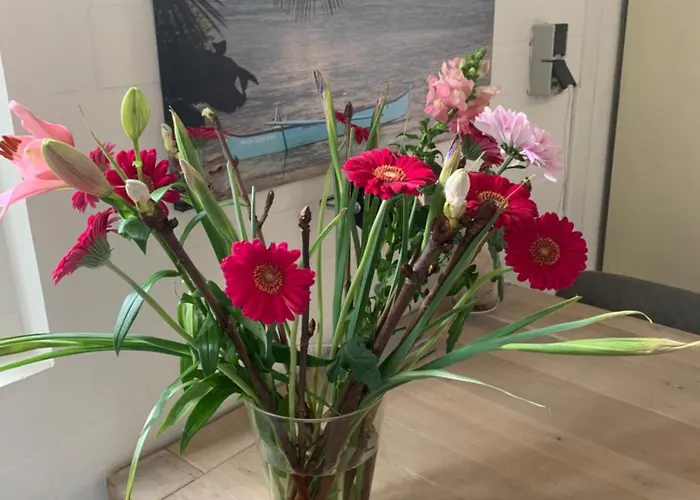 Cottage Markdal met gratis fietsen Breda