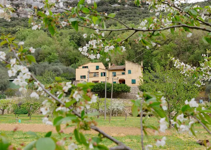 Agriturismo Alveare