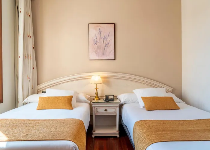 Hotel Conde Ansúrez Valladolid admite animales