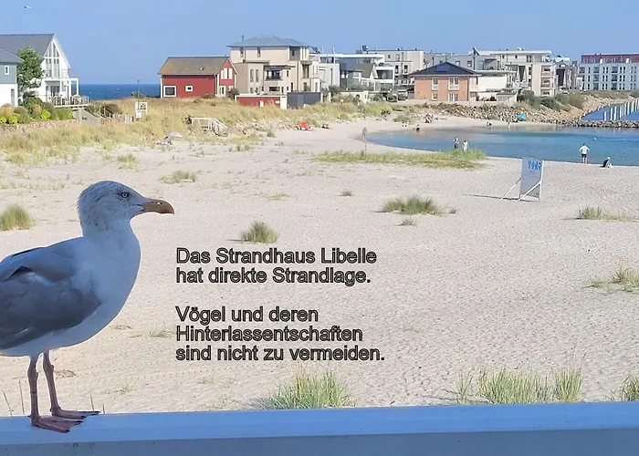 Strandhaus Libelle - direkt am Strand der Ostsee