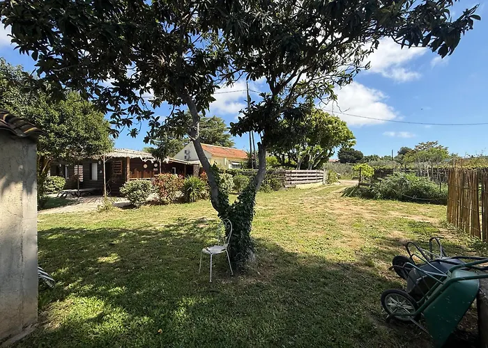 Villa Myami Sanary-sur-Mer