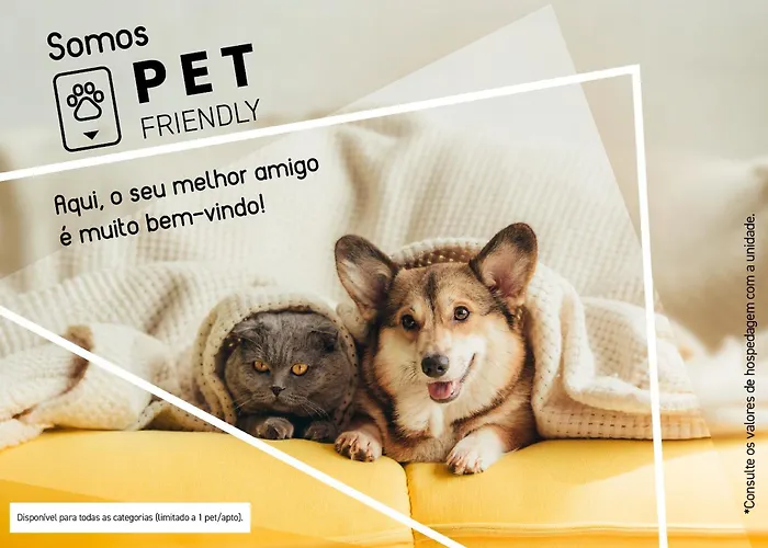 Slim Hotel São Paulo Frei Caneca