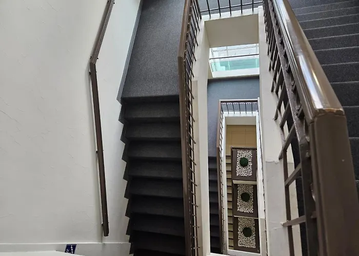 Pet friendly Hotel Plaza Del Arco - Monterrey