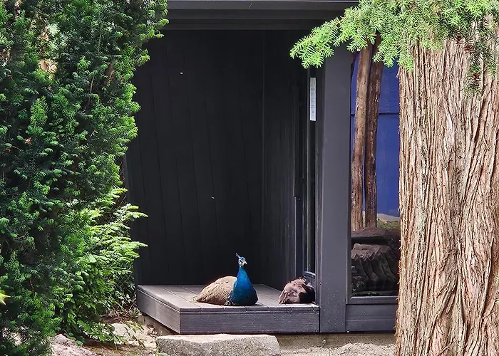 Hey Spreewald Ferienapartments