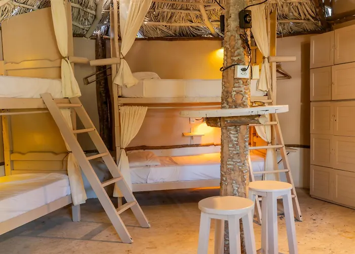 Treehouse Jericoacoara
