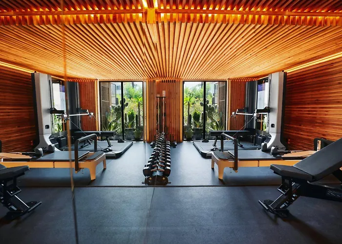 Petit Ermitage (Adults Only) Hotel Los Angeles - 4 star Hotel