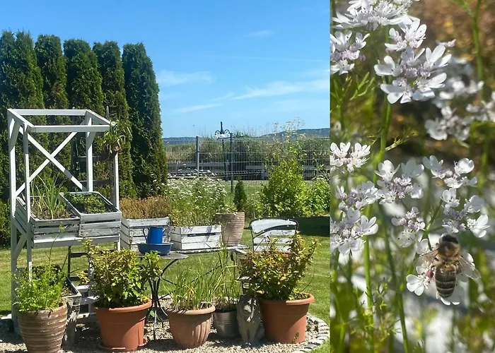 Siedlisko Nad Rozlewiskiem Swinemünde