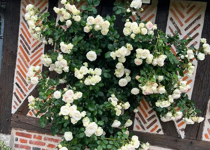 Bed and Breakfast Oh ! Fleurs des champs à Chaumont-sur-Tharonne