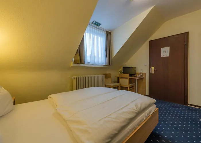 Huisdiervriedelijke Hotel Windsor Keulen