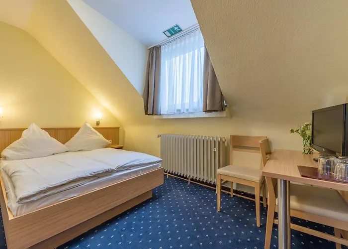 Huisdiervriedelijke Hotel Windsor Keulen