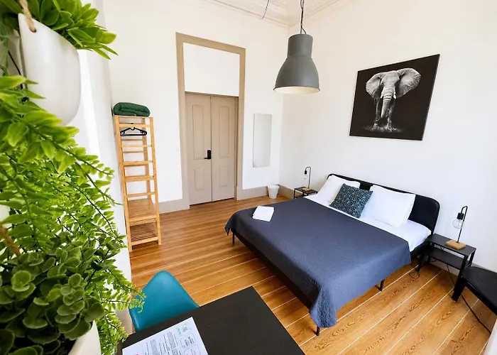 Ambiente Hostel Lisboa aceita animais de estimação