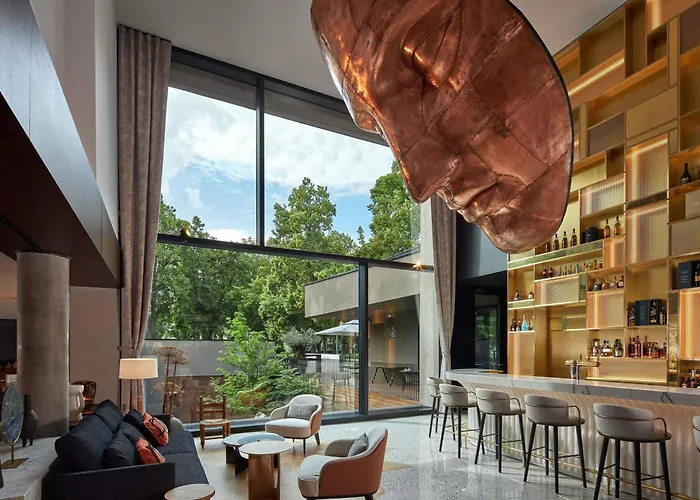 Huisdiervriedelijke L'Esquisse Hotel & Spa Colmar - Mgallery Collection