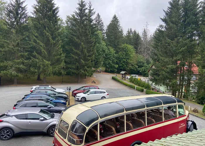 Boutique waldhotel AUSZEIT Tanne