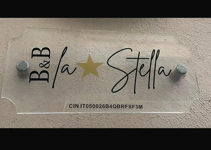 B&B La Stella Pisa che accetta animali