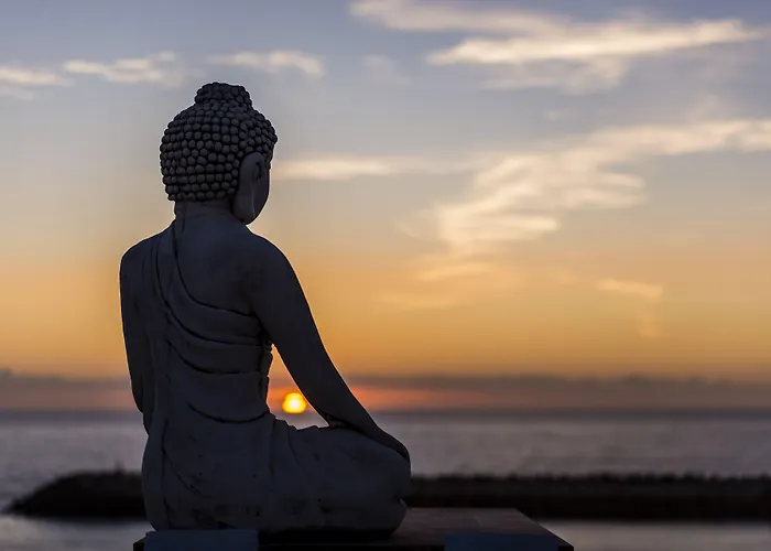 Sandhi House - Yoga & Wellness