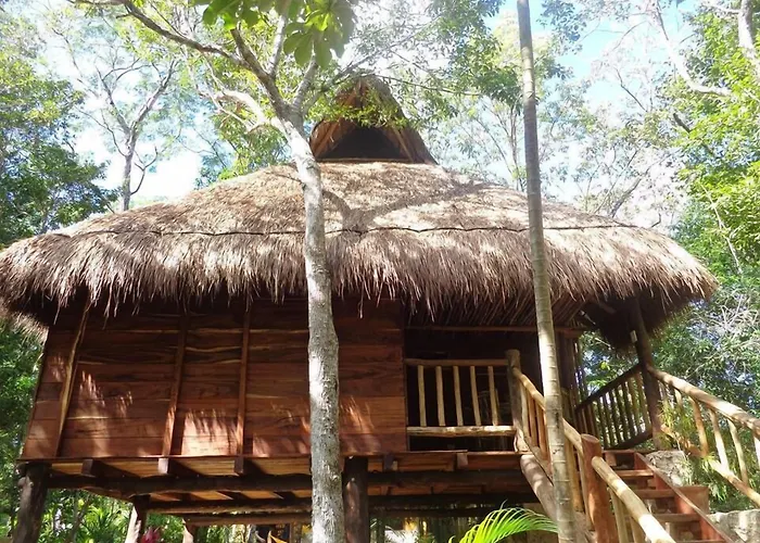 Casa Mango