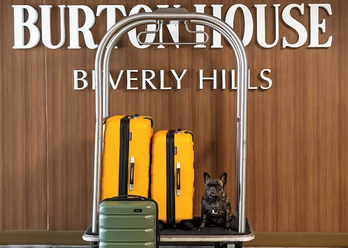 Burton House, Beverly Hills, A Tribute Portfolio Hotel Los Angeles