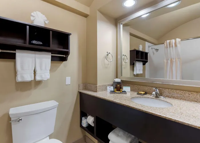 Best Western Plus Arlington North Hotel & Suites Grand Prairie
