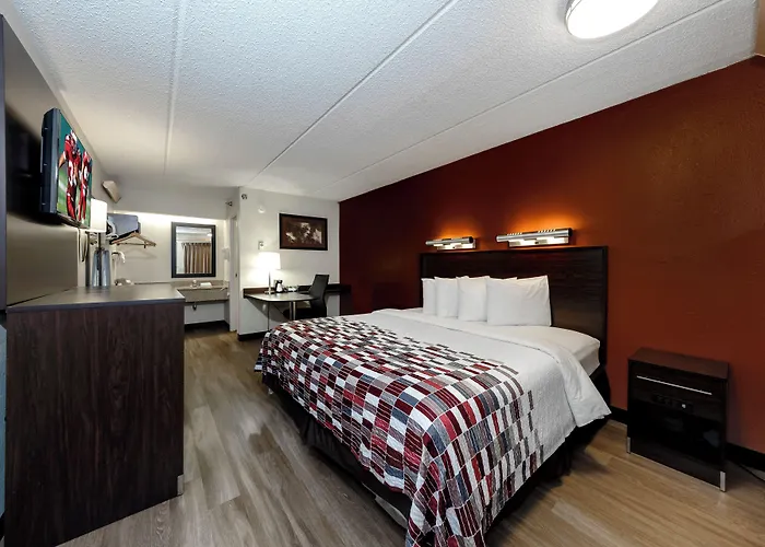 Red Roof Inn Tampa - Brandon