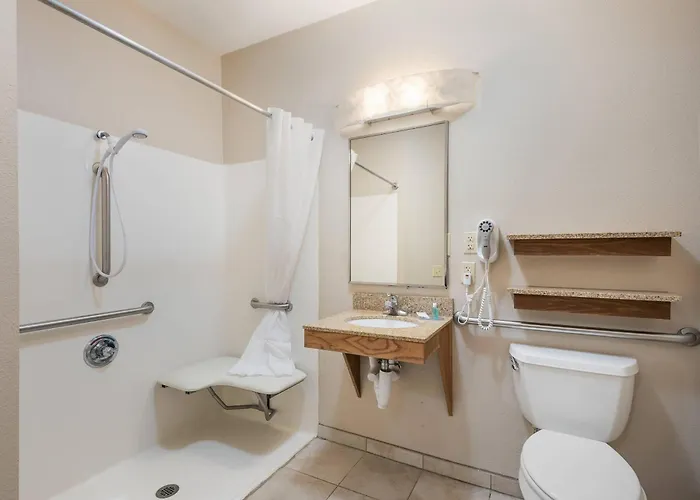 Pet friendly Suburban Studios Waterloo