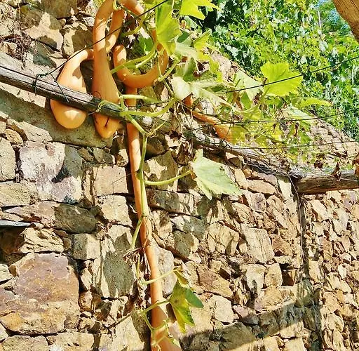 Agriturismo Costamagna Noli