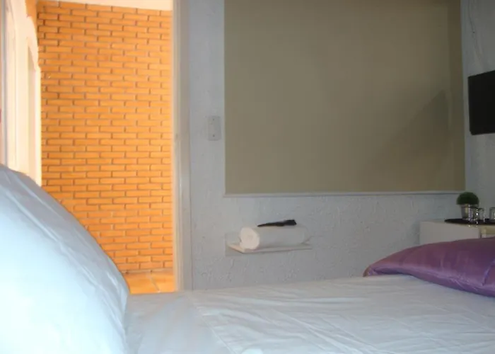 Black Hotel Bauru que aceita animais de estimação