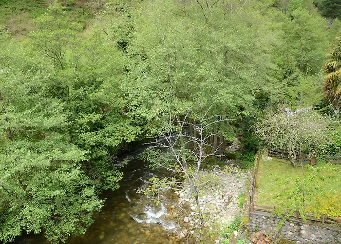 Apartamentos el Rincon de Limes Cangas De Narcea admite animales