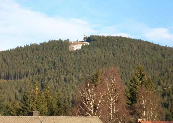 Gaestehaus Birke Titisee-Neustadt