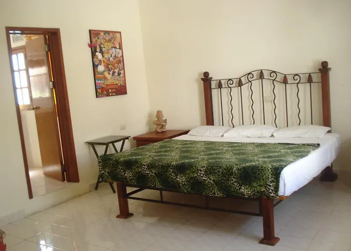 Beachouse Dive Hostel Cozumel