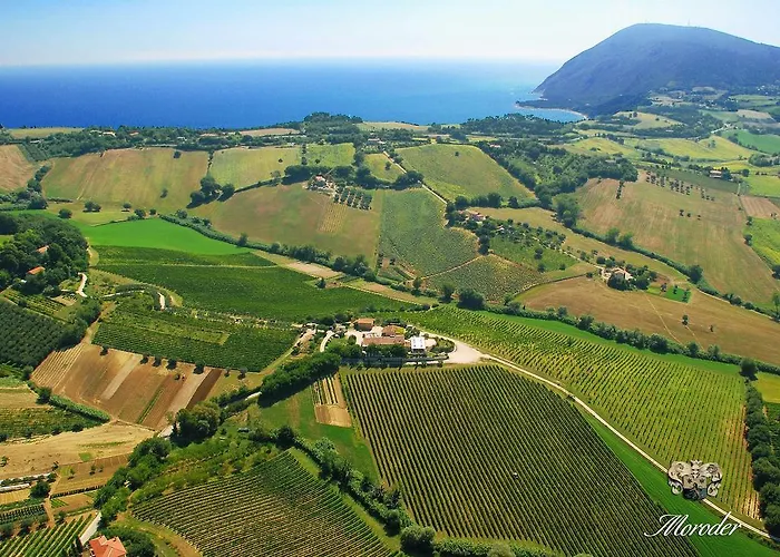 Agriturismo Le Vigne del Conero Ancona