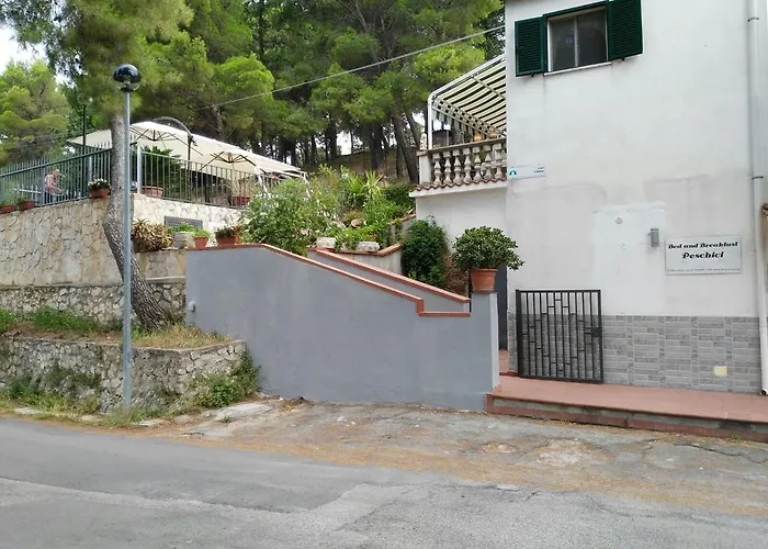 B&B Peschici Rooms che accetta animali