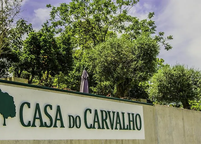 Casa Do Carvalho - Ponte De Lima Apartamento