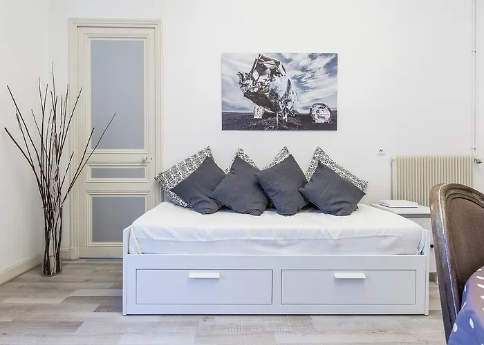 Residence Michel Ange Cannes acceptant les animaux