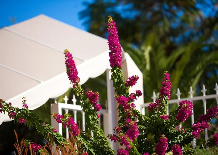 Boutique Apartamentos Los Dragos del Norte Puerto de la Cruz 