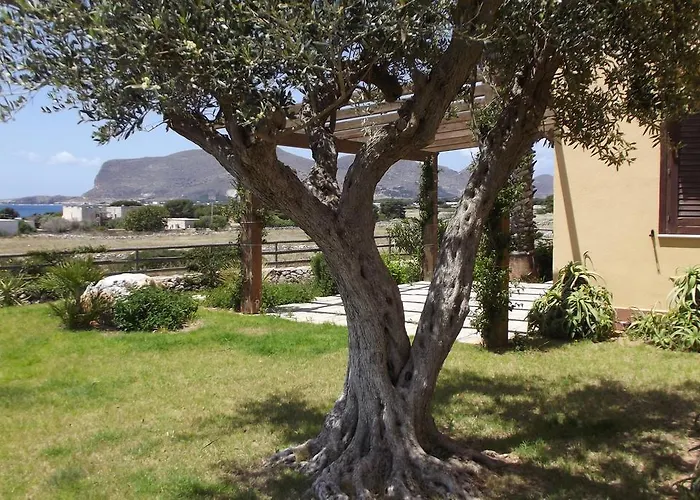 Boutique Affittacamere Il Giardino delle Aloe Favignana