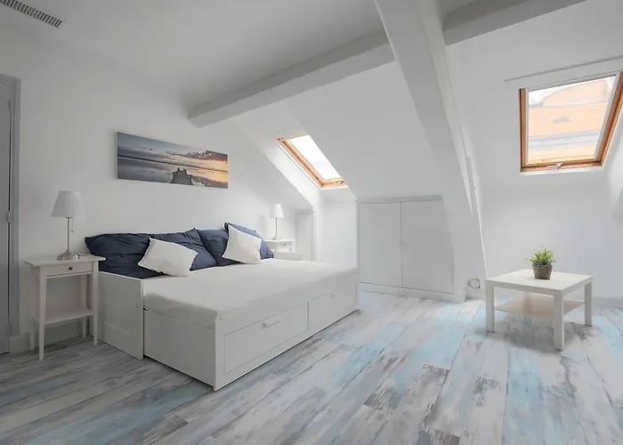 Residence Michel Ange Cannes acceptant les animaux