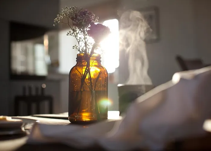 Boutique Ferienwohnung Tede Warft Pellworm