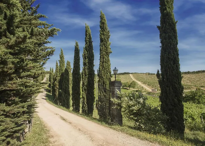Affittacamere Relais Santa Cristina Radda In Chianti