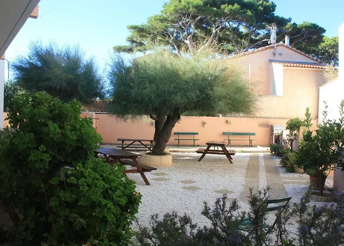 Hyères Dog Friendly Hotels Near 