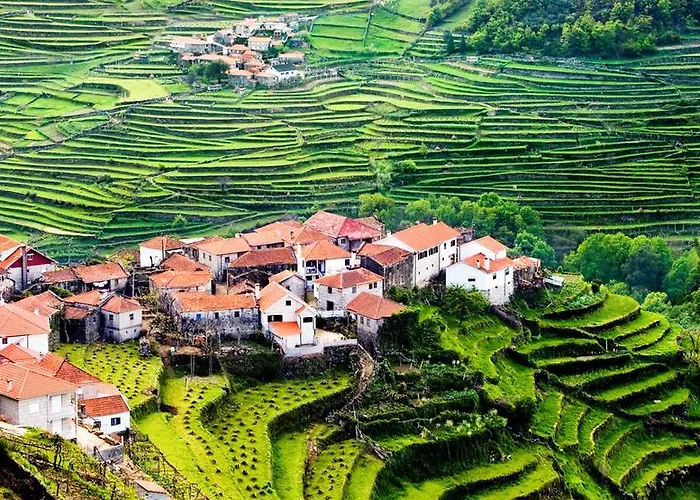 Quinta Das Secas