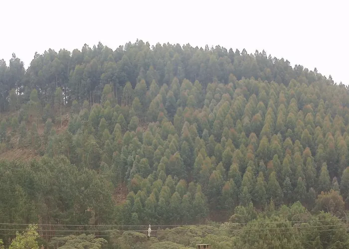 Chales Marigu Monte Verde 