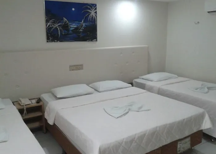 Hotel Serrano Martins