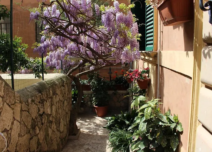 Hotel Pavia Rome