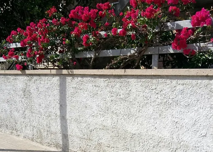 Rosy B&B Alghero