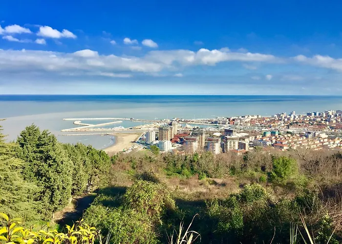 Hotel Athena Pesaro che accetta animali