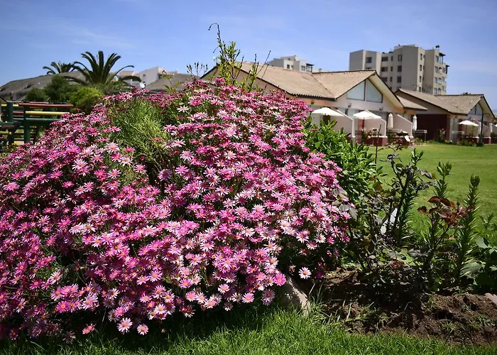 La Serena Serviced Apartments