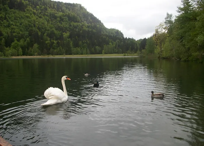 Ferienwohnung Haus Alpenrose Schwangau